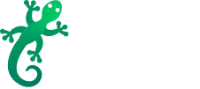geko
